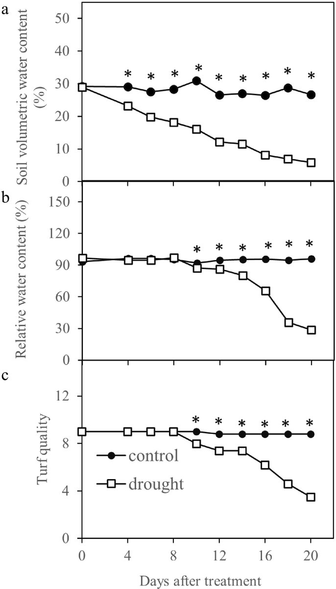 Unlocking drought resilience in Kentucky bluegrass: Hyperspectral imaging reveals superior predictability for drought responses. Key indices like SIPI and SRI offer insights into efficient irrigation and cultivar selection. #DroughtResilience 
Details:maxapress.com/article/doi/10…