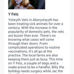 Photo by Ystwyth Veterinary Practice (@YstwythP)