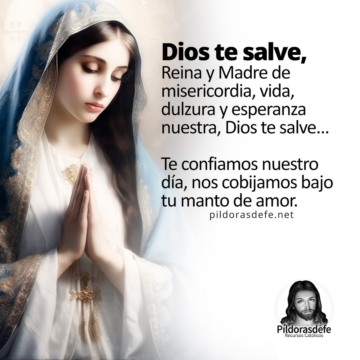 🙏 Santa María, Madre de Dios, vigila mis pasos en este nuevo día que comienza. Te entrego mis situaciones. Tú, que eres el Auxilio de todos los cristianos, ayúdame en la dificultad, que pueda ser paciente y manso como Jesús. Amén.