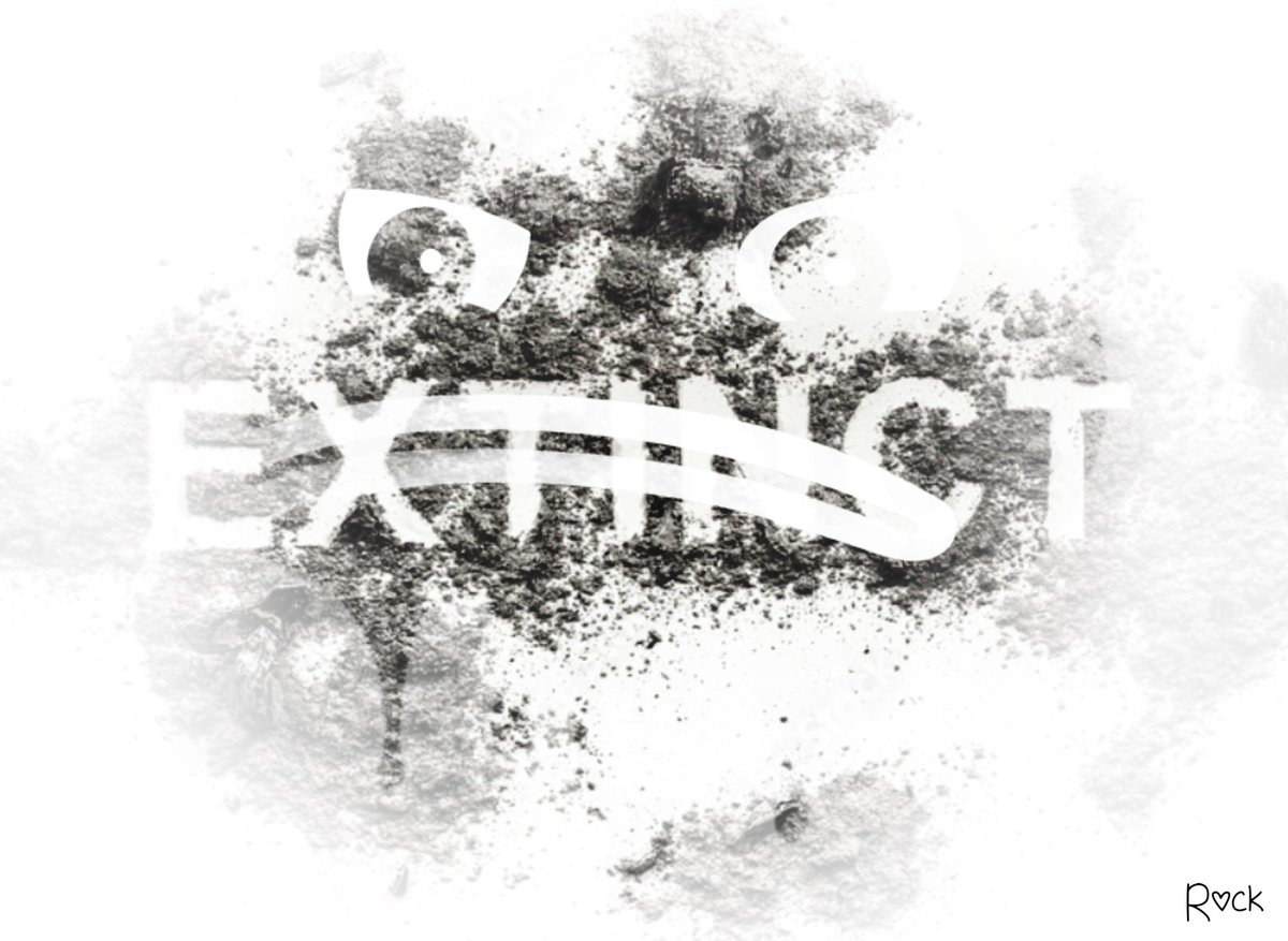 Ｒｏｃｋ 🪨💡 tweet media