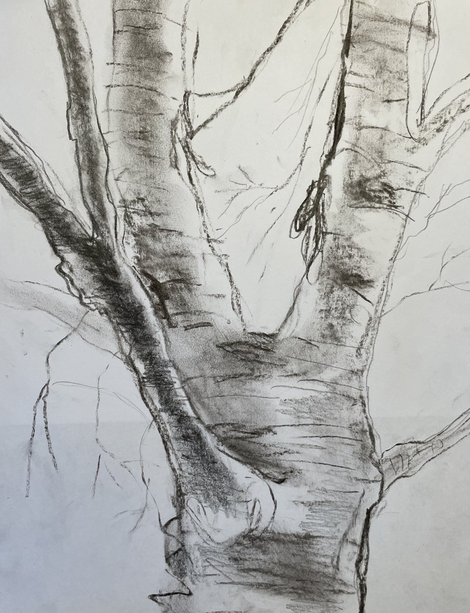 CWASDumbo's tweet image. Beginner Drawing + Illustration for Adults
20 % OFF 
USE CODE: WINTER
creativelywildartstudio.com/adult-art-clas…

#AdultDrawingClasses #artclasses #BrooklynDrawingClasses #ArtStudio #Drawingforbeginners #DUMBOArtSchool #ArtStudio #Art