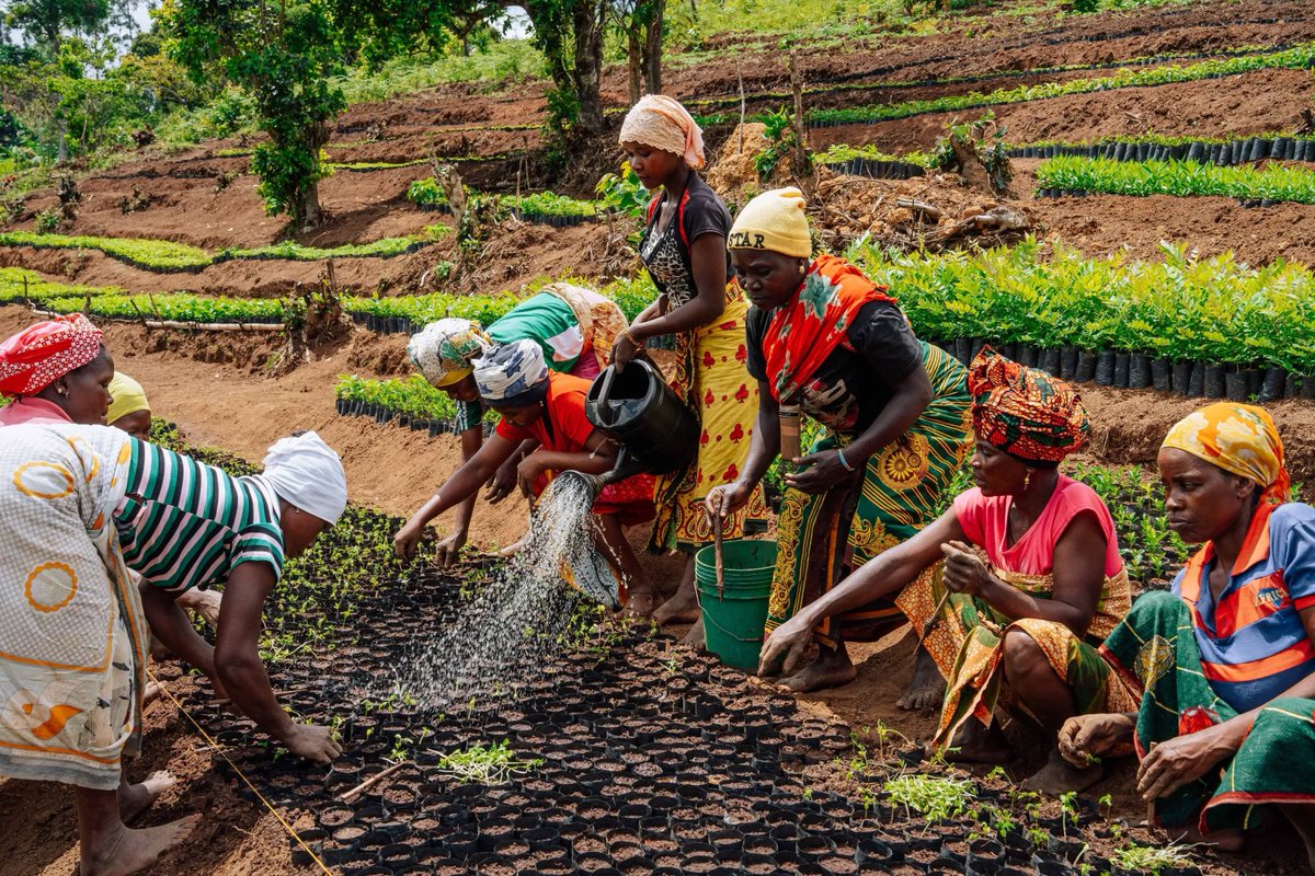 As 2024 begins, our global projects gear up for the upcoming planting season. It's a time of renewal and growth, as we continue our commitment to planting 1 trillion trees by 2050.