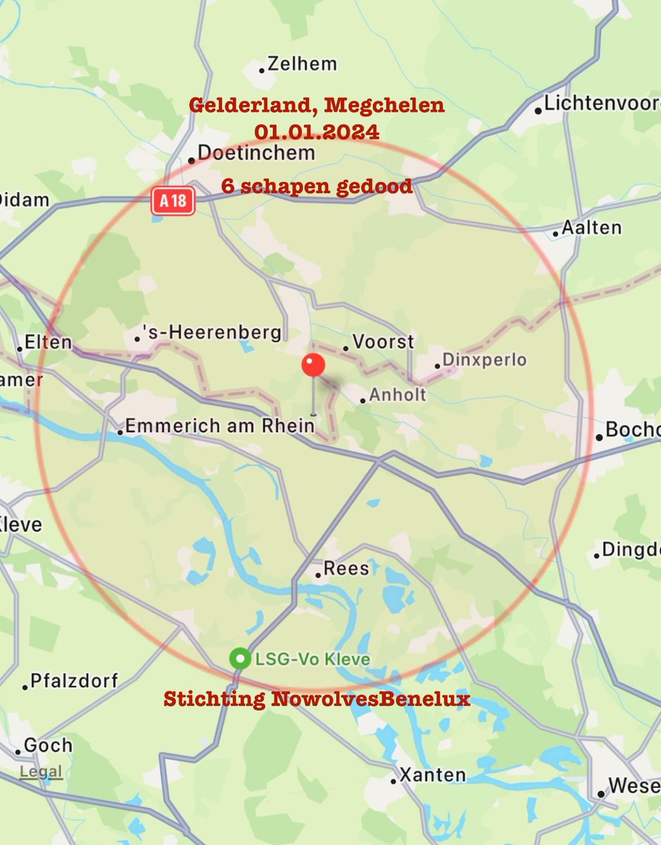 PlatformWeN's tweet photo. #Gelderland, #Megchelen 
01.01.2024 

6 schapen gedood en wolf gespot 

Pas op uw dieren !! https://t.co/h1osQEp4xZ