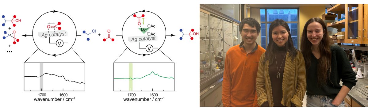 My lab's 2nd paper is out in @NatureCatalysis! What is happening at the electrified interface during electroorganic reactions? Here is our first taste of revealing how it's organized to enable fragment-based electrophile coupling! w QC, Sarah, Rocco nature.com/articles/s4192…