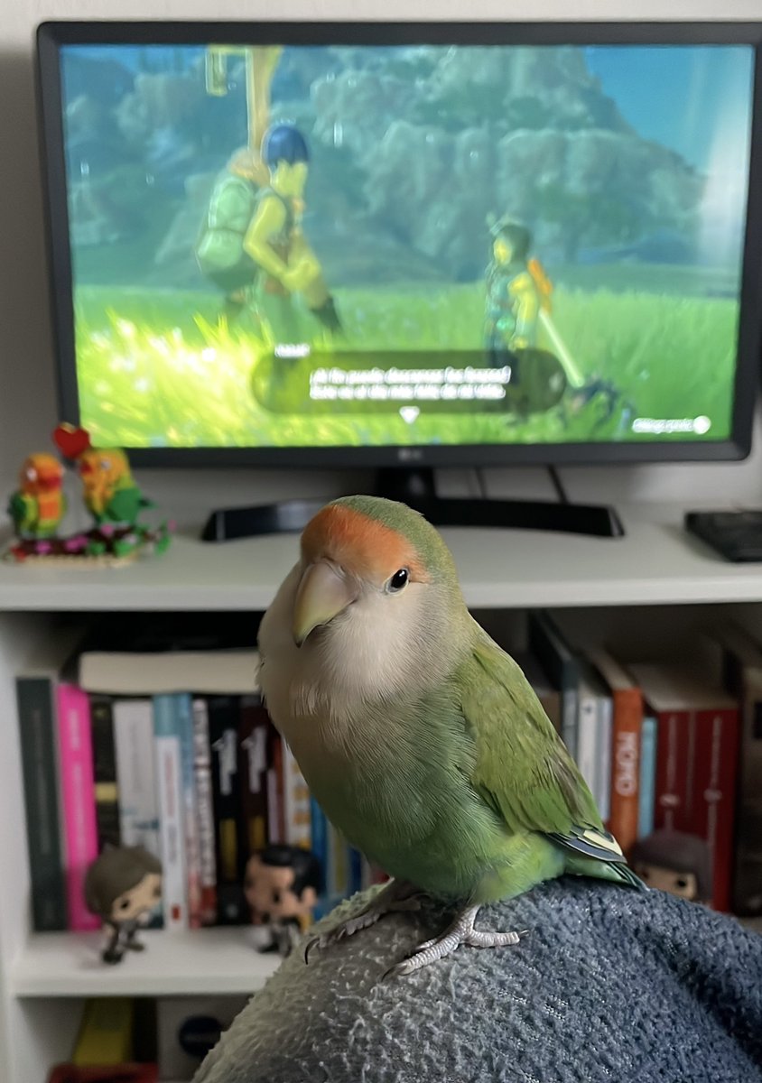 Jelen 3.9 🏳️‍🌈 ✨Franchaela Era✨ 🏳️‍🌈 tweet media