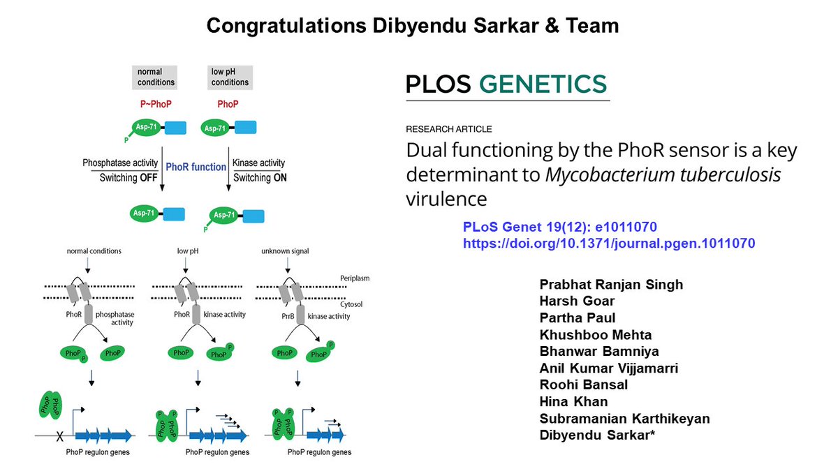 Congratulations Dr Dibyendu Sarkar and the team on publication of the Manuscript entitled 'Dual functioning by the PhoR sensor is a key determinant to mycobacterium tuberculosis virulence' in Plos Genetics. @CSIR_IND