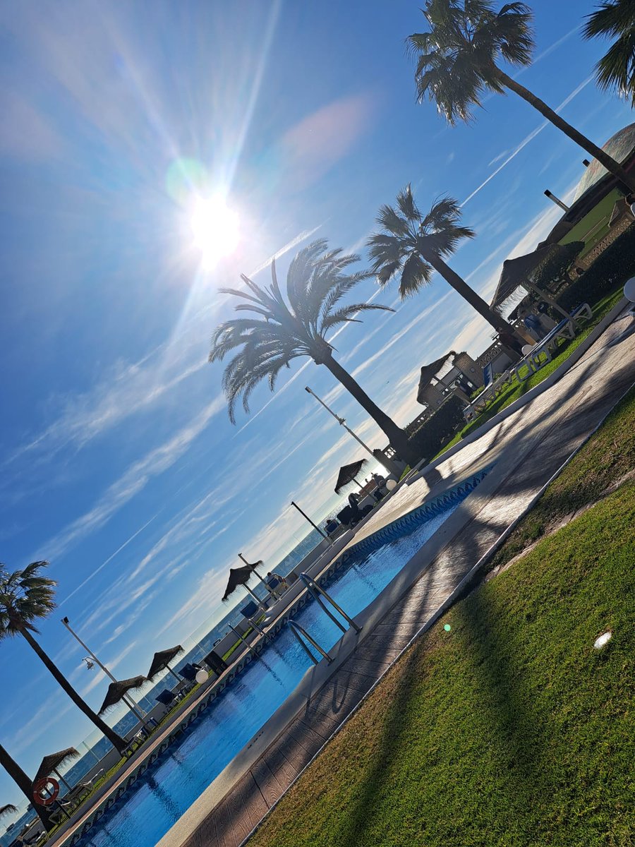 Cynthia Abel tweet media