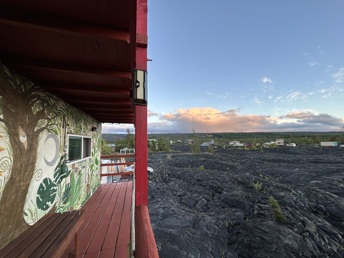#TRLT A5) No picture of the actual event, but when we checked in to our Hostel on The Big Island the staff gave us a tour with a bird named Sasha (pictured below) riding on her shoulder the whole time. The hostel  was a bit quirky and we loved it!