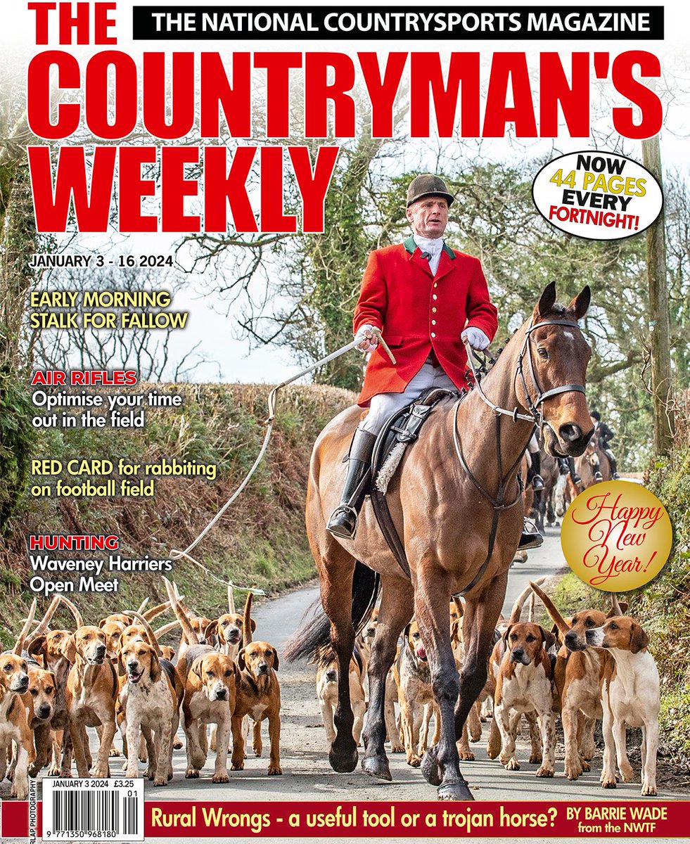 Steve Grant tweet media