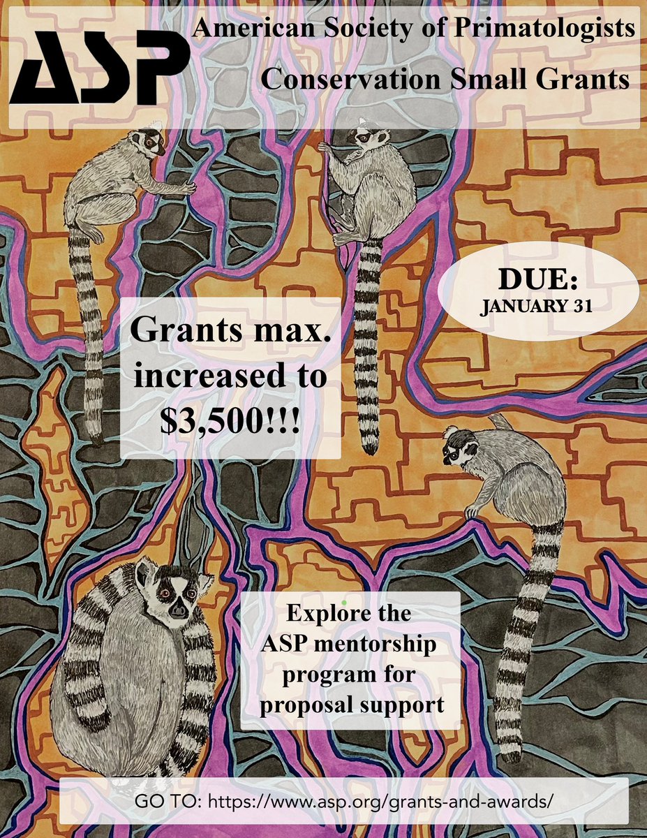 AmSoc Primatologists tweet media