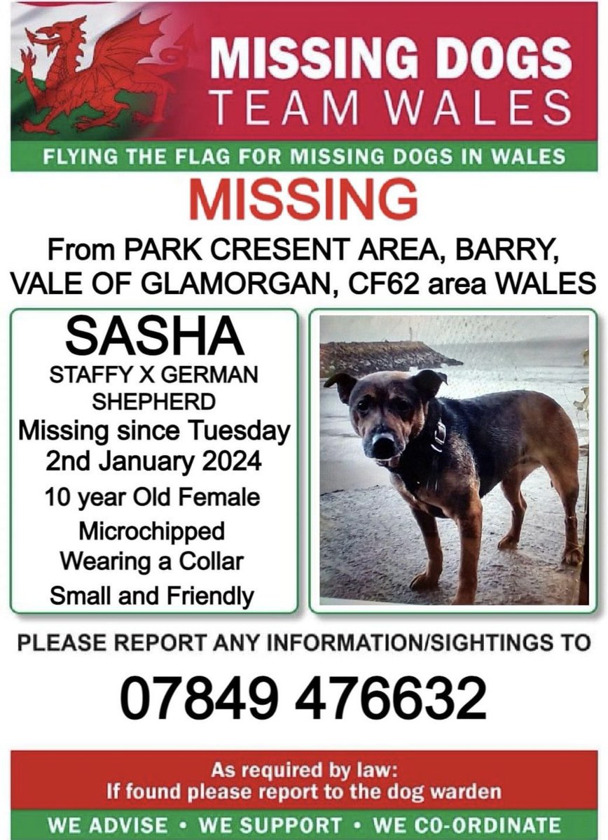 ❗❗SASHA, MISSING From #PARKCRESENT AREA, #BARRY, #VALEOFGLAMORGAN, #CF62 Area #WALES ❗❗
❗SINCE TUESDAY 2nd JANUARY 2024.
🔺10 YEAR OLD 🔺 PLEASE LOOK OUT FOR SASHA AND CALL NUMBER WITH ANY SIGHTINGS/INFORMATION ❗