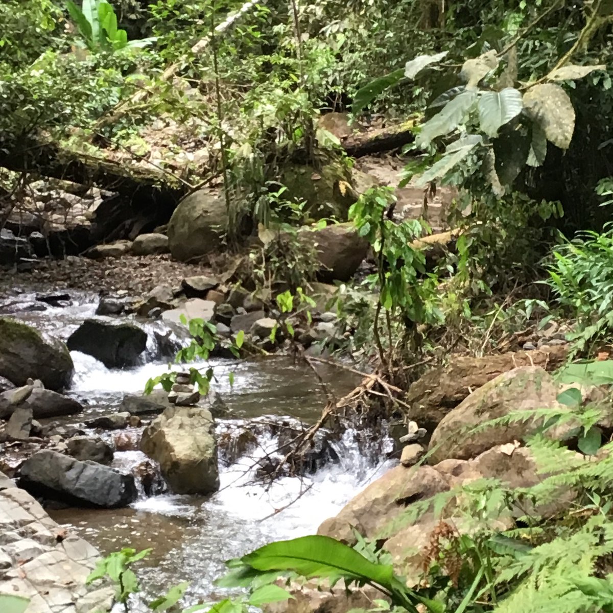 BlueBagRedBag's tweet photo. Happy New Year #trlt. Maria's joining from Costa Rica. https://t.co/iIJsR7Mxgh
