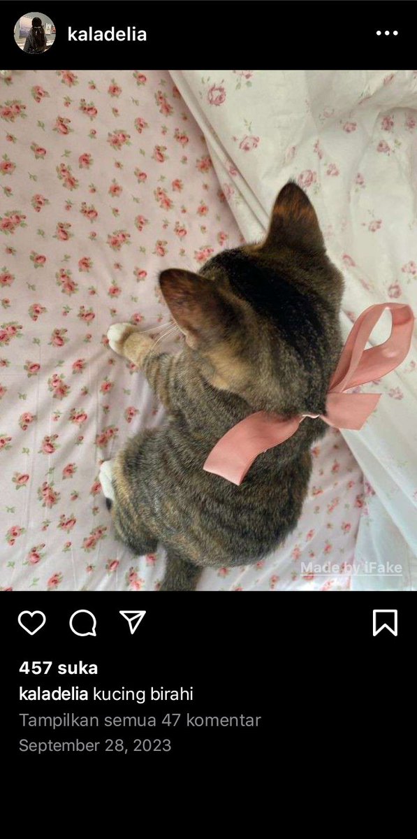 ashyeila's tweet photo. 31. https://t.co/7e4zvsV7vZ