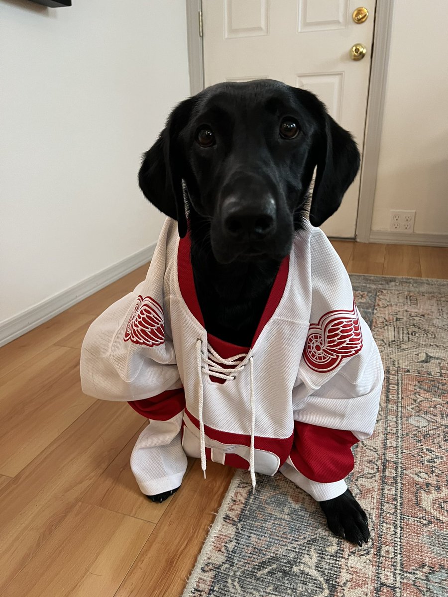 Let’s try this again and see if Bo can bring the luck tonight for a big win on the road #LGRW #redwings