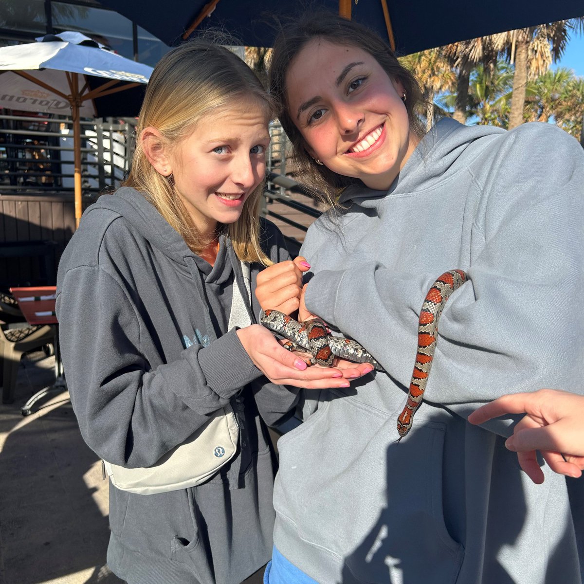 PurdueWSwim's tweet photo. ππππ & ππππ in Fort Lauderdale
#BoilerUp x #TrainingTrip https://t.co/gtgoNmNYJx