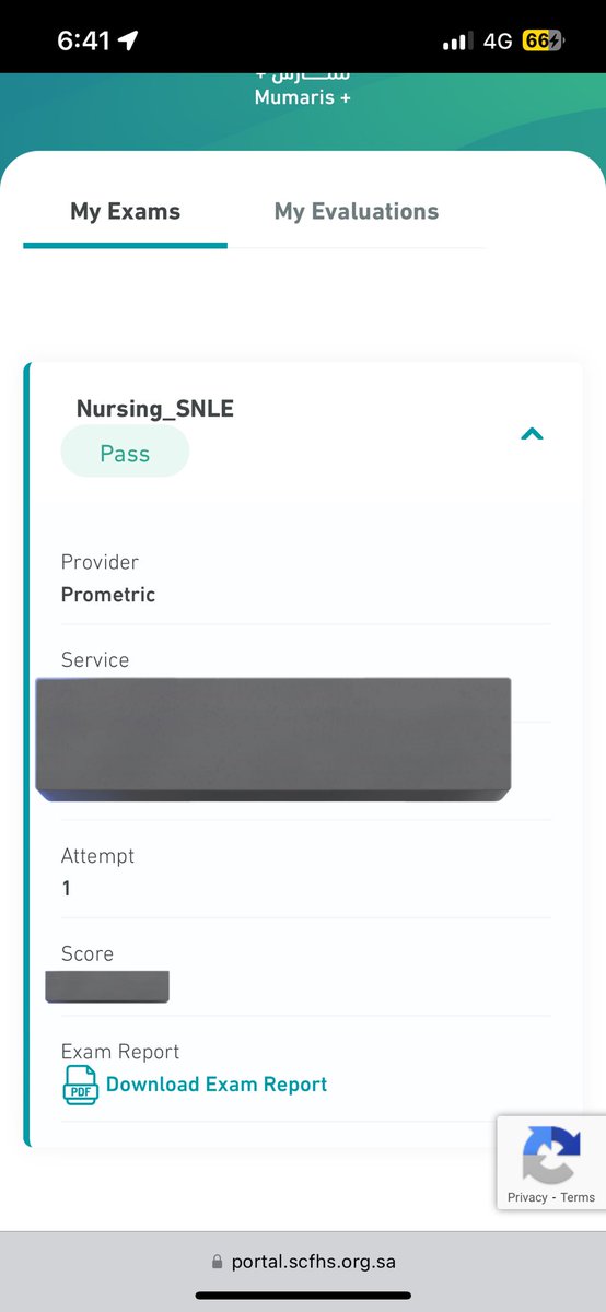 𝙼𝚘𝚛tada tweet media