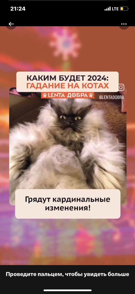 учитывая что у меня по матрице гол проходит по 8-13-21 мне страшно что он мне принесёт….