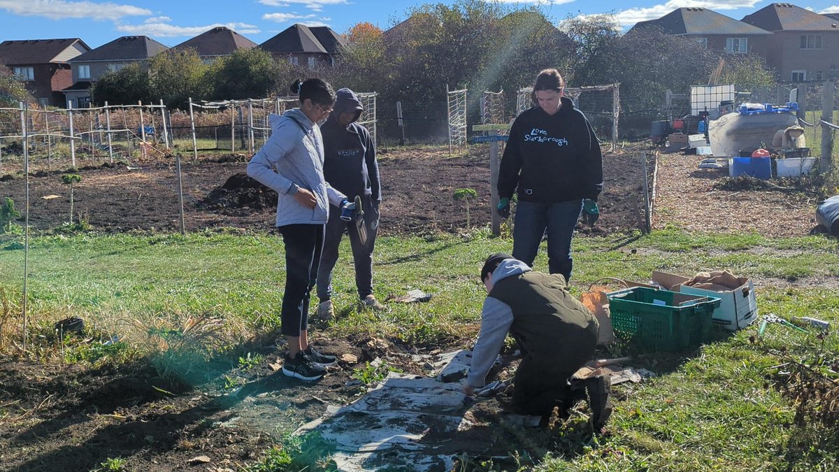 42_voices's tweet photo. Interested in growing local produce and generating an additional income stream? Join the Malvern Urban Farm community. Don't miss out—submit your application now!
https://t.co/jMR0r2wJ7j https://t.co/y4u5GxDtXa