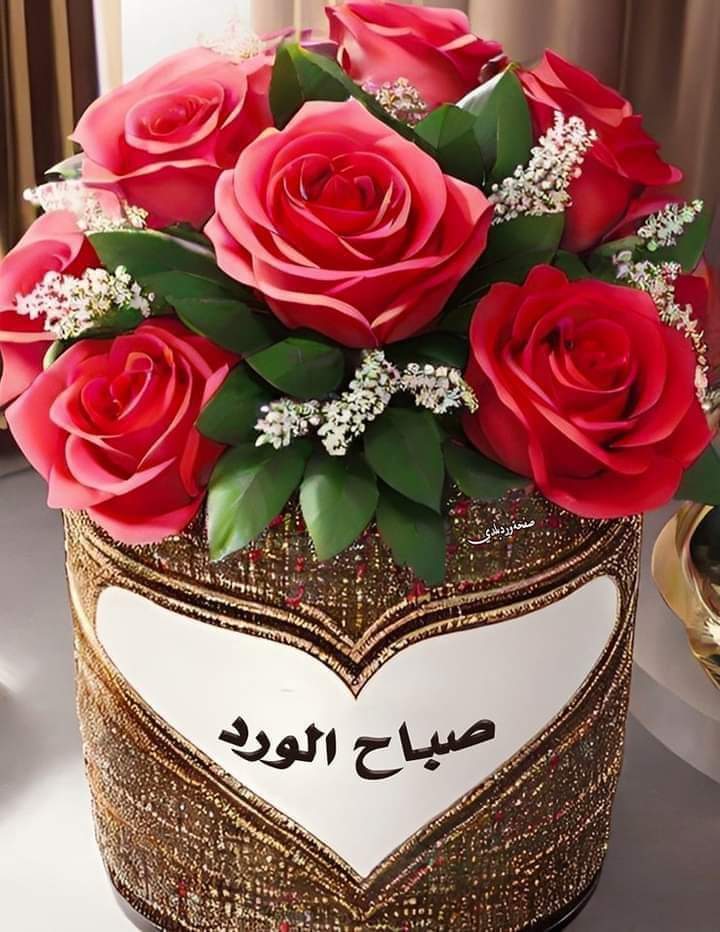 وَ کانَ رَبُّکَ بَصِیراً
او ستا رب هر څه ویني 👉