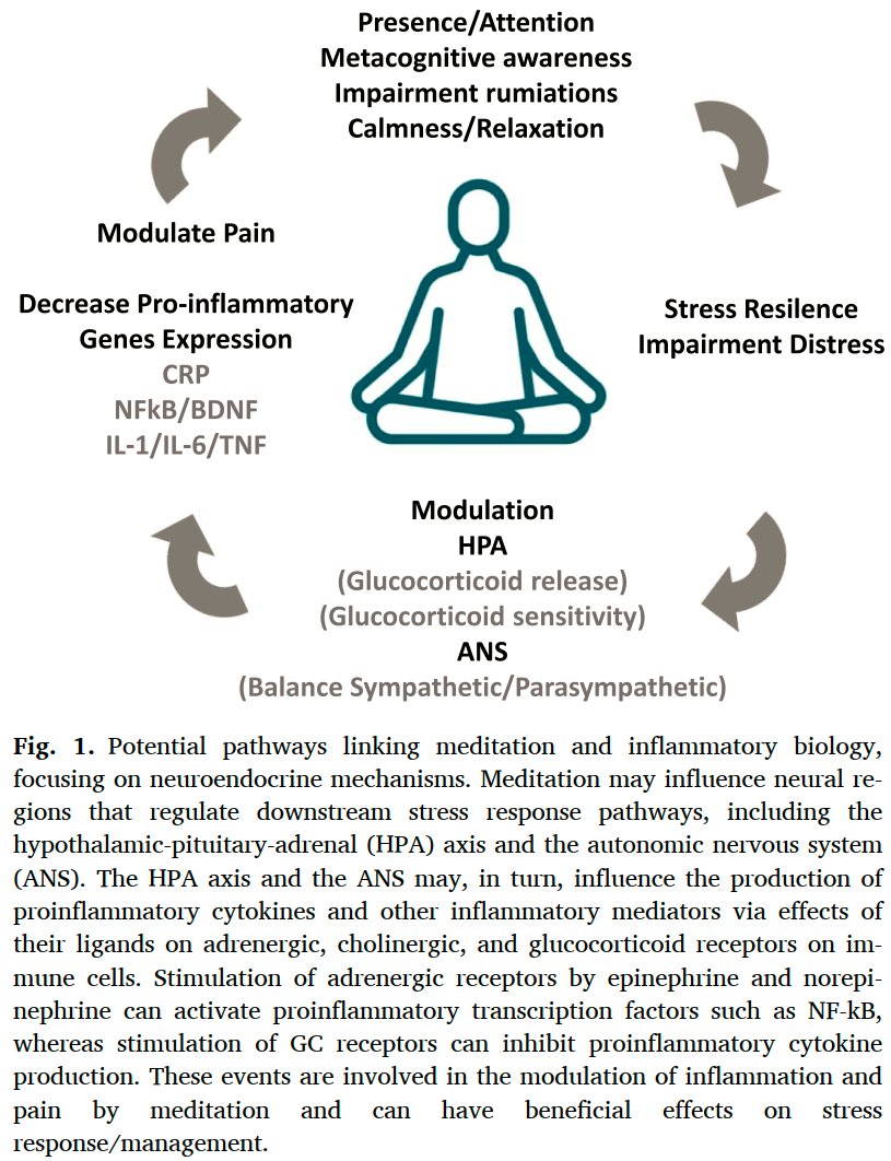 Modulation of inflammatory response and pain by mind-body therapies as meditation

👇👇👇

sciencedirect.com/science/articl…