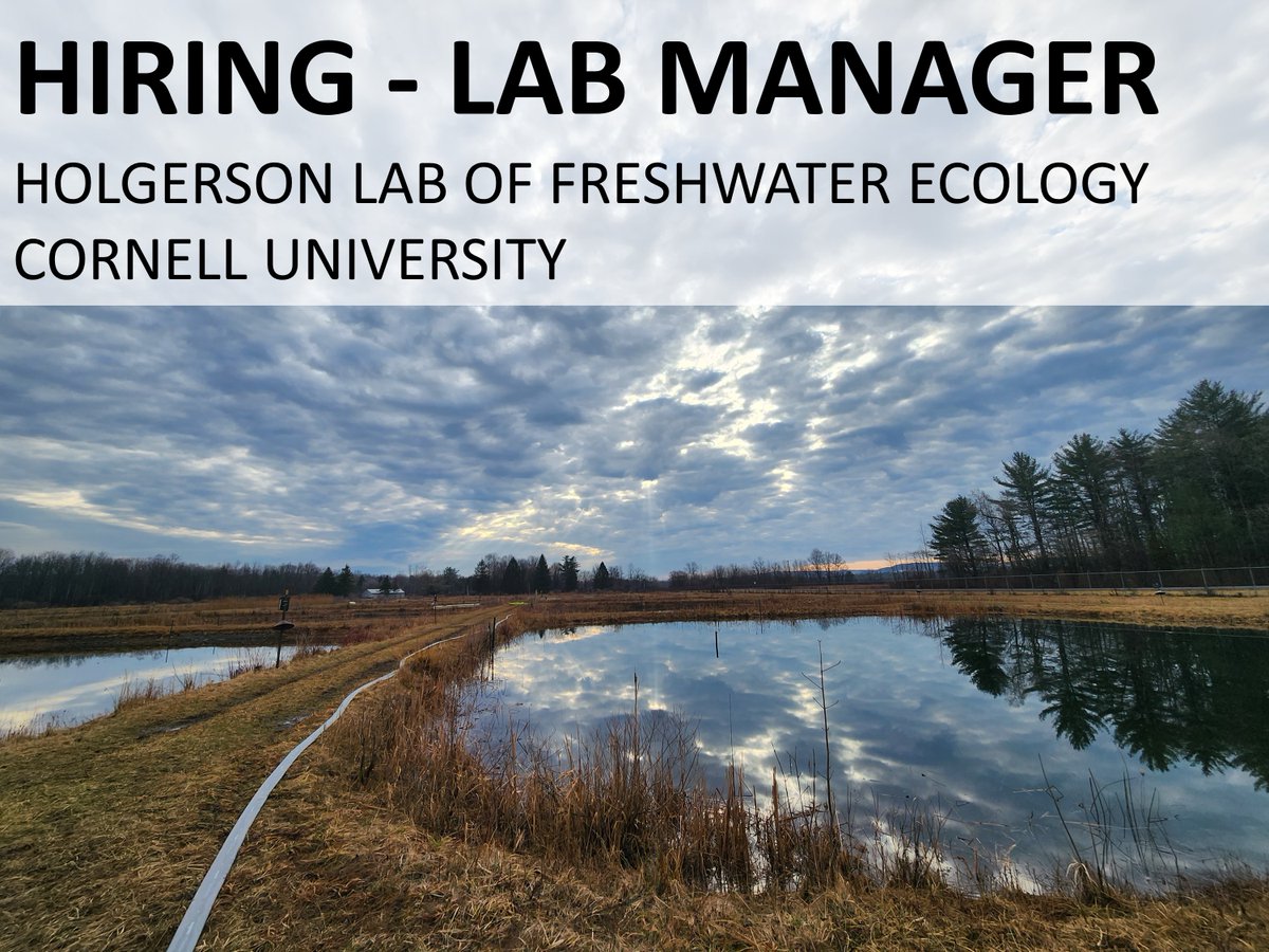 The Holgerson Lab of Aquatic Ecology is hiring a lab manager! Please spread the word. Apply and find more details: cornell.wd1.myworkdayjobs.com/CornellCareerP…. Contact me directly with questions.