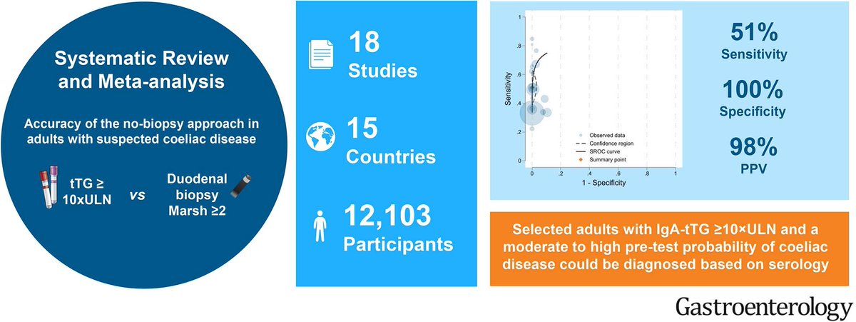 Mo_Shiha's tweet photo. 🆕 Delighted to share our meta-analysis on the accuracy of the no-biopsy approach to diagnose adult #coeliac_disease published in @AGA_Gastro 

🌍 >12,000 participants

🎯 TTG>10xULN ➡️ specificity = 100% & PPV = 98%

🚨 Caution in older patients and those with 🚩 symptoms

https://t.co/YkzDZ2FNHI