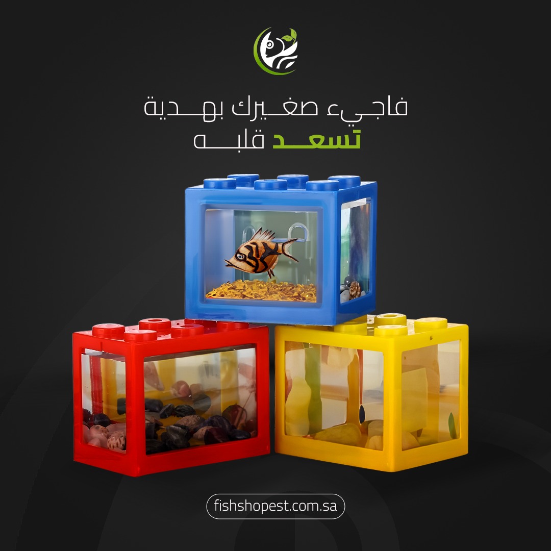 متجر تربية أسماك الزينة tweet media