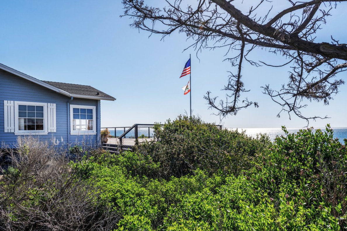 Happy New Year from Crystal Cove Conservancy! We can’t wait to see what exciting opportunities 2024 has in store!