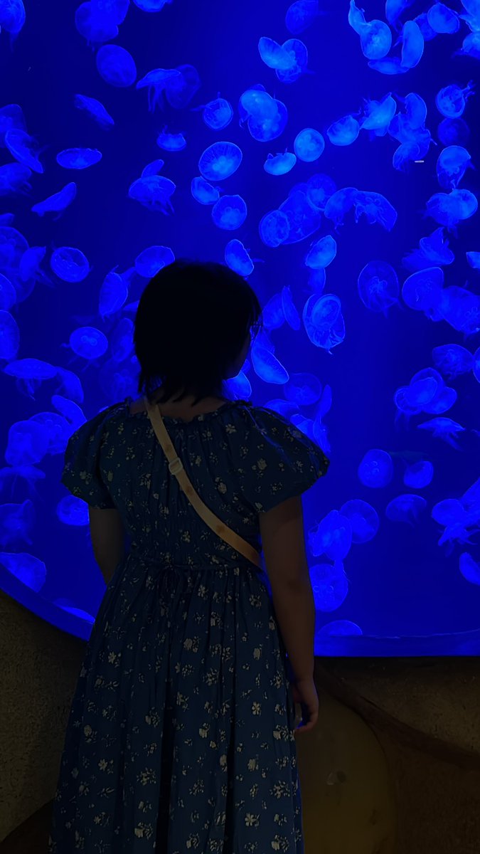 xXiekl's tweet photo. 🐠🐠 https://t.co/HKiukrcRRk