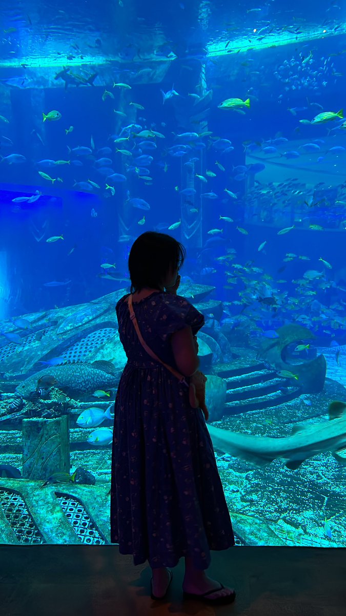 xXiekl's tweet photo. 🐠🐠 https://t.co/HKiukrcRRk