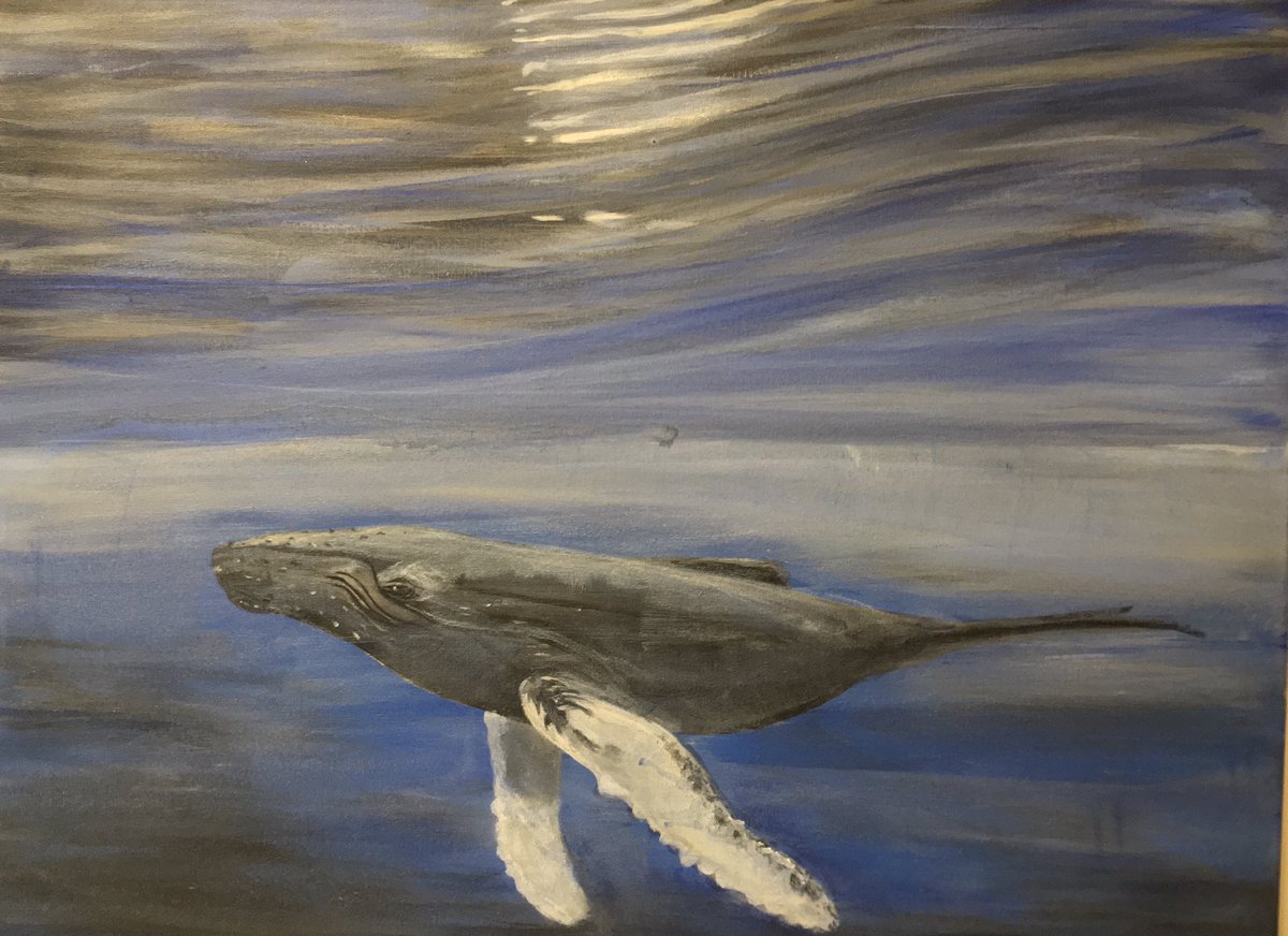 Inspired to paint first my painting of 2024 by #richardShucksmith photo @ImagesEcology in @guardian last week #Humpbackwhale Get your canvases out 🤗