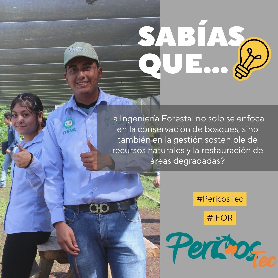 TItsvc's tweet image. Conviértete en un guardián de la biodiversidad y ayuda a preservar nuestros pulmones verdes.    

Únete a nosotros, únete a #Pericostec
#IFOR
#conservaciónforestal #biodiversidad