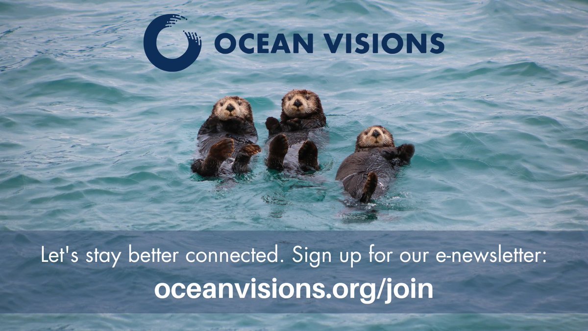 Ocean Visions  Advancing Solutions for Ocean-Climate Restoration
