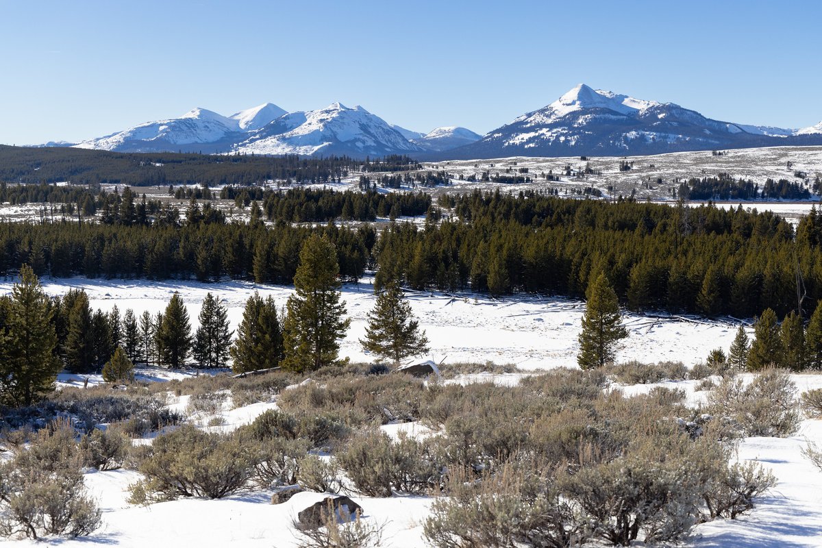 USGSVolcanoes's tweet photo. Yellowstone Volc. Obs. Monthly Update
11:04 AM MST, Jan. 2, 2024

https://t.co/LYRFKVIcJZ

DECEMBER SUMMARY:
- background activity levels
- 89 located earthquakes (max=M2.1)
- 3 small seismic swarms
- gradual subsidence of caldera
- 1 Steamboat Geyser eruption (9 total in 2023) https://t.co/uFHK8sAW6o