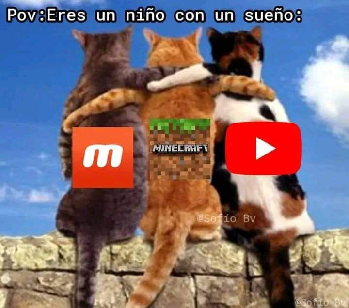 Mega atún (@abellcymeg) on Twitter photo 