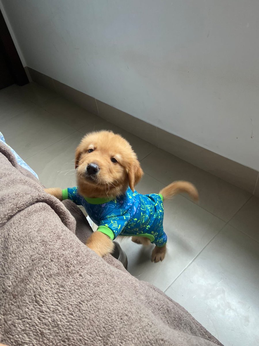 twaniimals's tweet photo. https://t.co/7hVJibIdZS