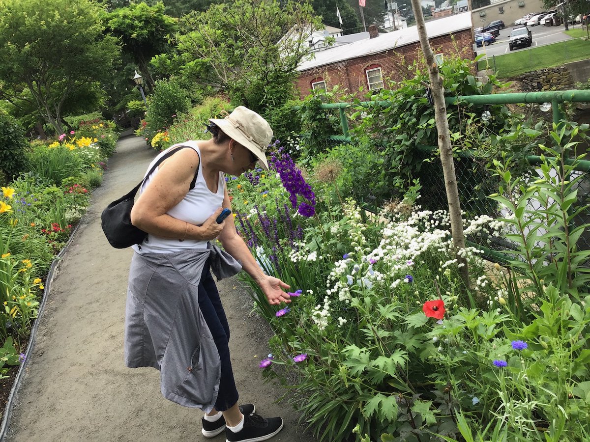 BlueBagRedBag's tweet photo. Where I'm "local" is a tricky one. I'll give you two, first where I grow up and still visit my mom is Western #Massachusetts. (Here she is at the #BridgeofFlowers) But where we visit the most is Perez Zeledon, #CostaRica (Love that sleeping indian!) #TRLT https://t.co/Hz1CLC6X2m