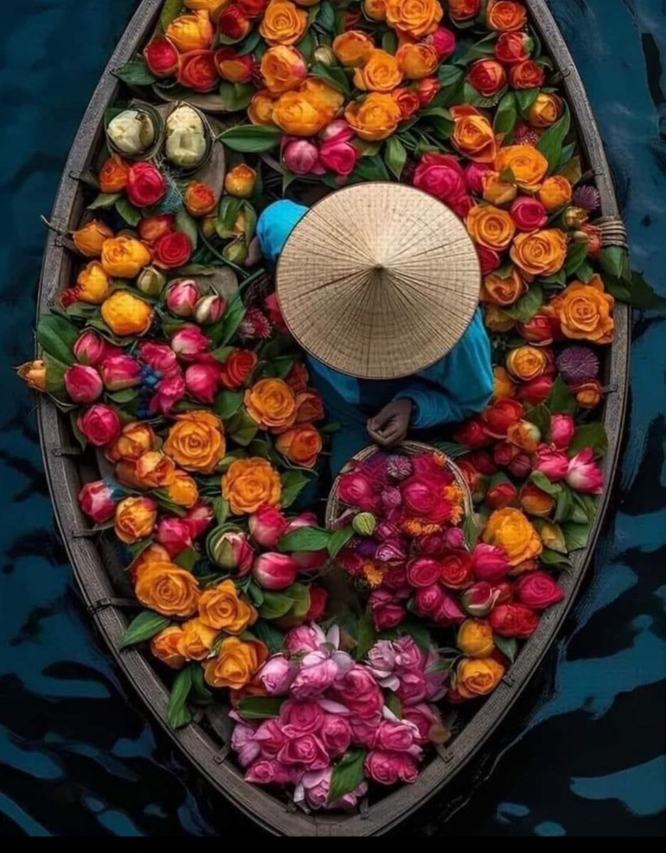 Sylvie_Latina_5's tweet image. Couleurs...

#SimpleisBeautiful.