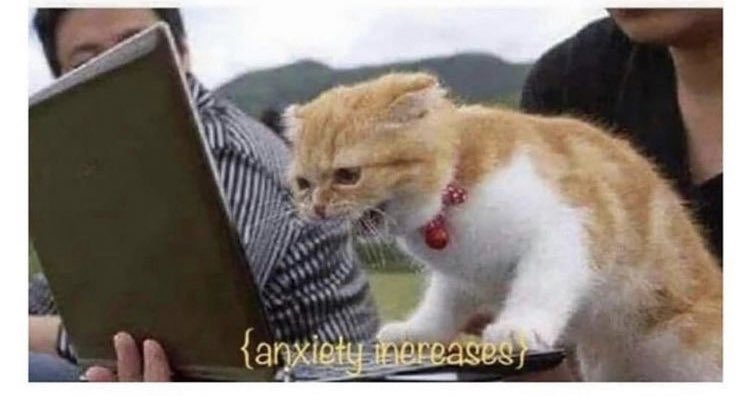 Me opening my emails this morning