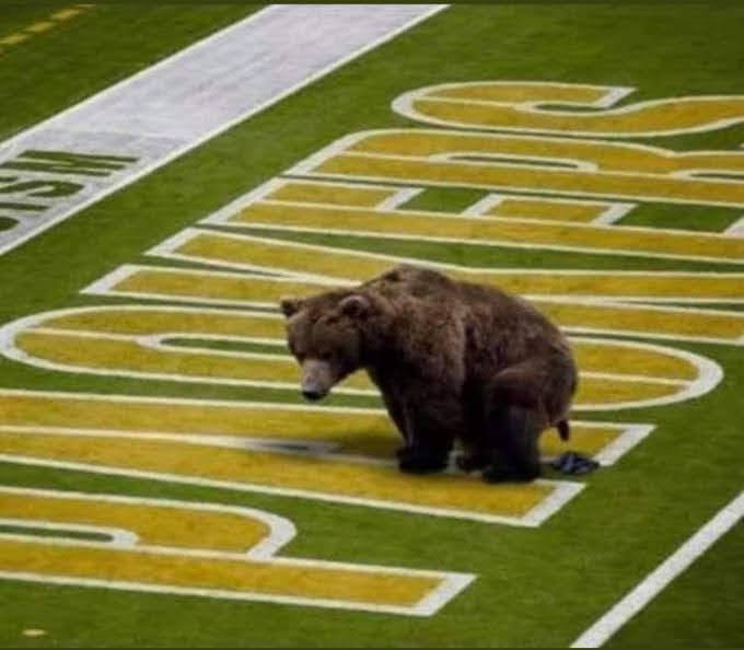 #PackersWeek #FTP 🐻⬇️