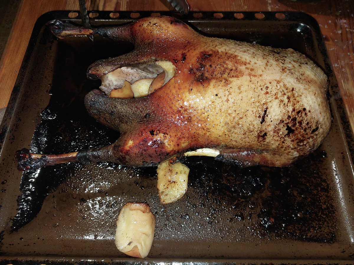 prokopenkoleg's tweet photo. Goose baked in the oven for Christmas https://t.co/Ptg3saIMgZ