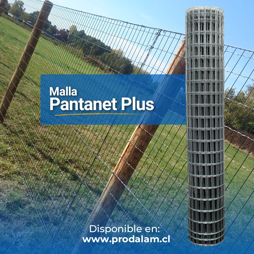prodalam's tweet image. Para el cierre de jardines y espacios abiertos, la malla #Pantanet es perfecta porque tiene gran resistencia a la corrosión gracias a su galvanizado.⁣
⁣
Cómpralo en prodalam.cl/productos/MP01… 🔹⁣
​​​🇨🇱Estamos en todo Chile⁣

#MallaPantanet #Mallas #cercos #Constructoras