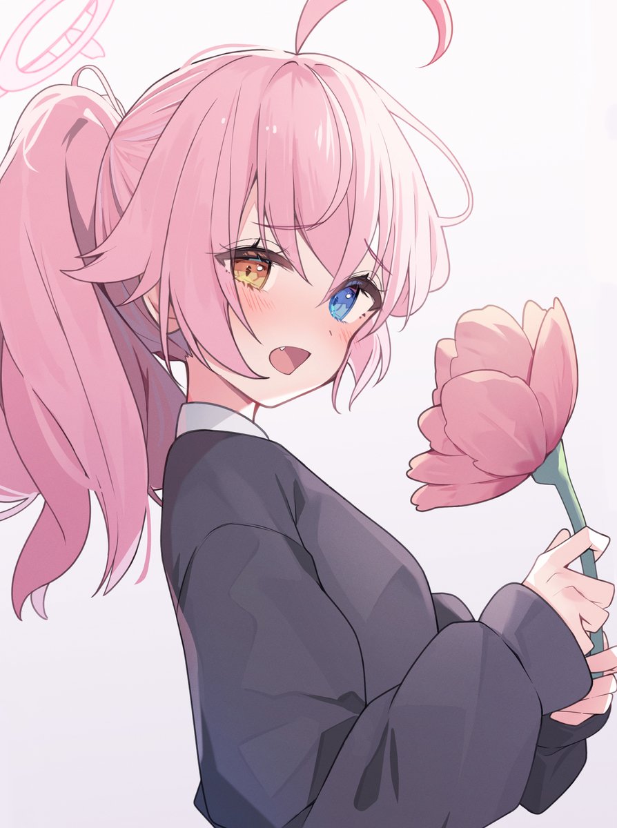 hoshino (blue archive) 1girl heterochromia solo pink hair flower ahoge holding  illustration images