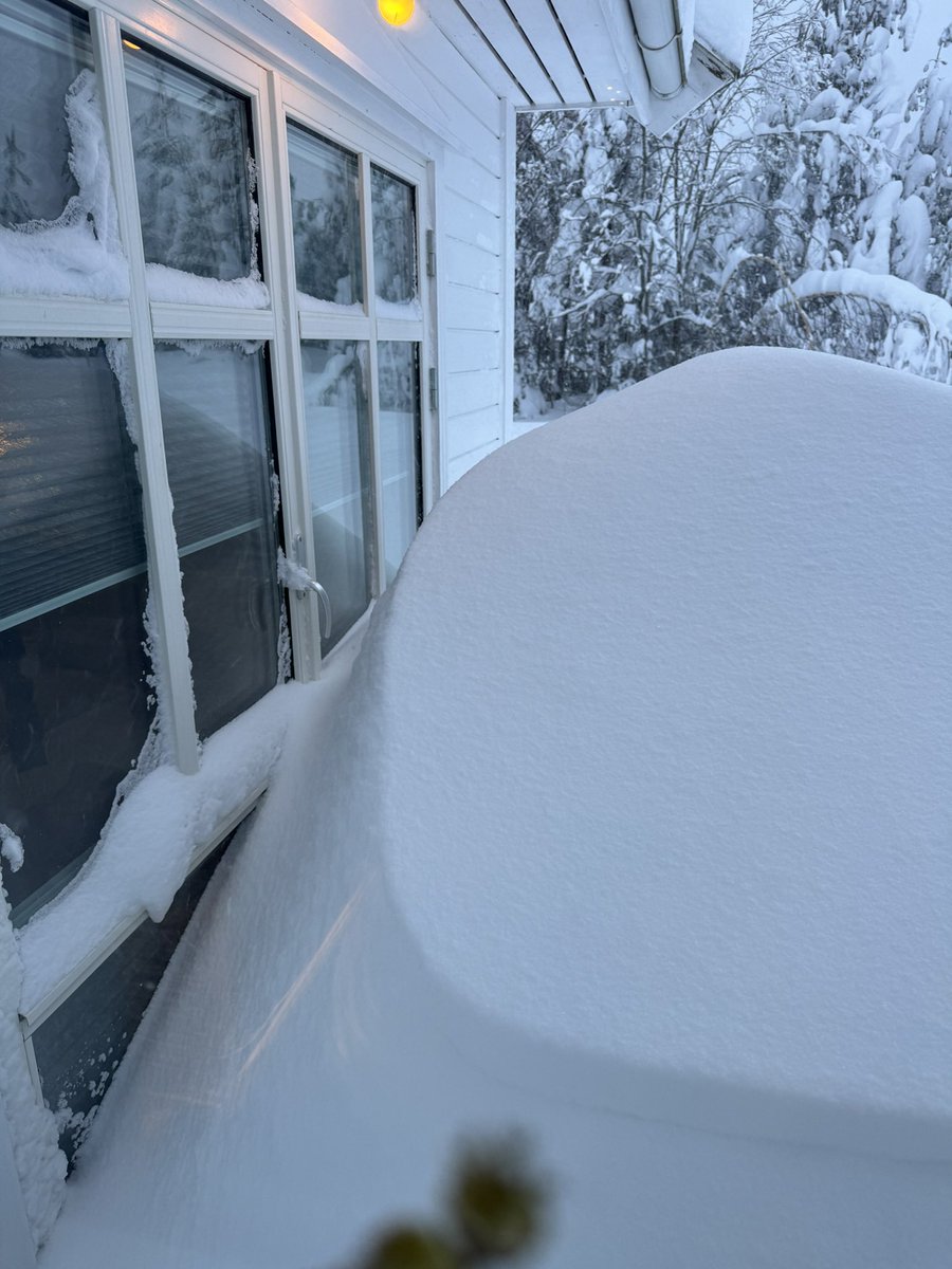 Espen Edvardsen tweet media