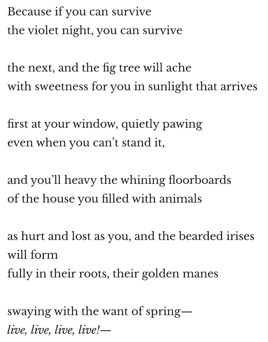 docfaze's tweet image. My favourite #PoemaDay ( so far ) for 2024 #ReasonstoLive #RuthAwad