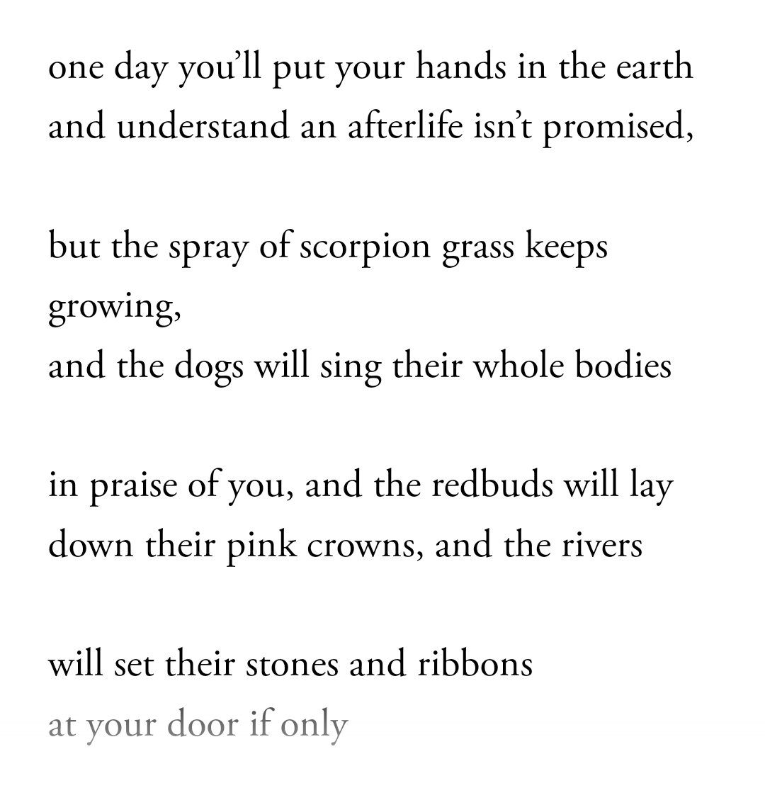 docfaze's tweet image. My favourite #PoemaDay ( so far ) for 2024 #ReasonstoLive #RuthAwad