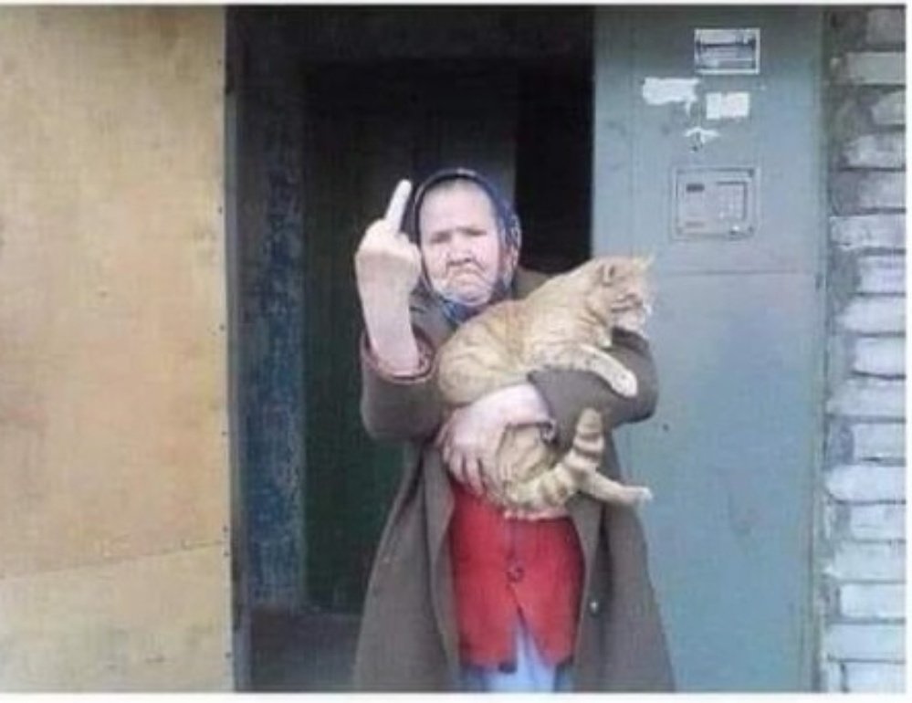 gordanajojkic3's tweet image. Srećan #IntrovertDay