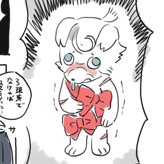 セクシードッグ621
