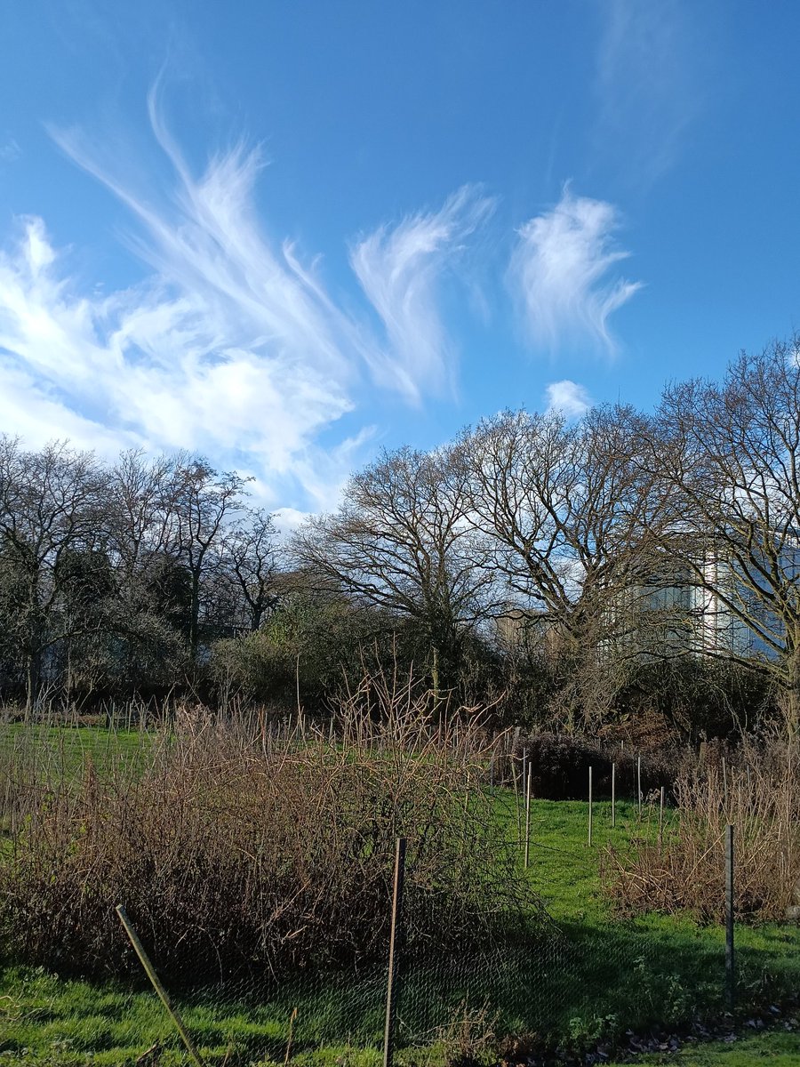 alan ridealgh tweet media