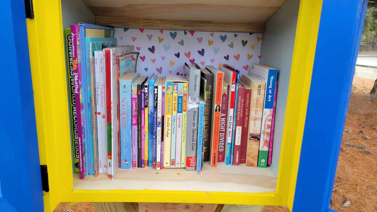 MTESMediaCenter's tweet photo. New Year...New Little Library!  Thanks to former MTES student Ella and her family, we now have a free little library at Manchester Elementary!! https://t.co/DB2Bx4CUev